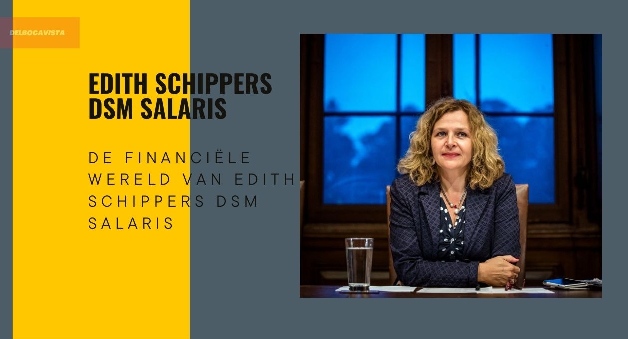 Edith Schippers DSM Salaris