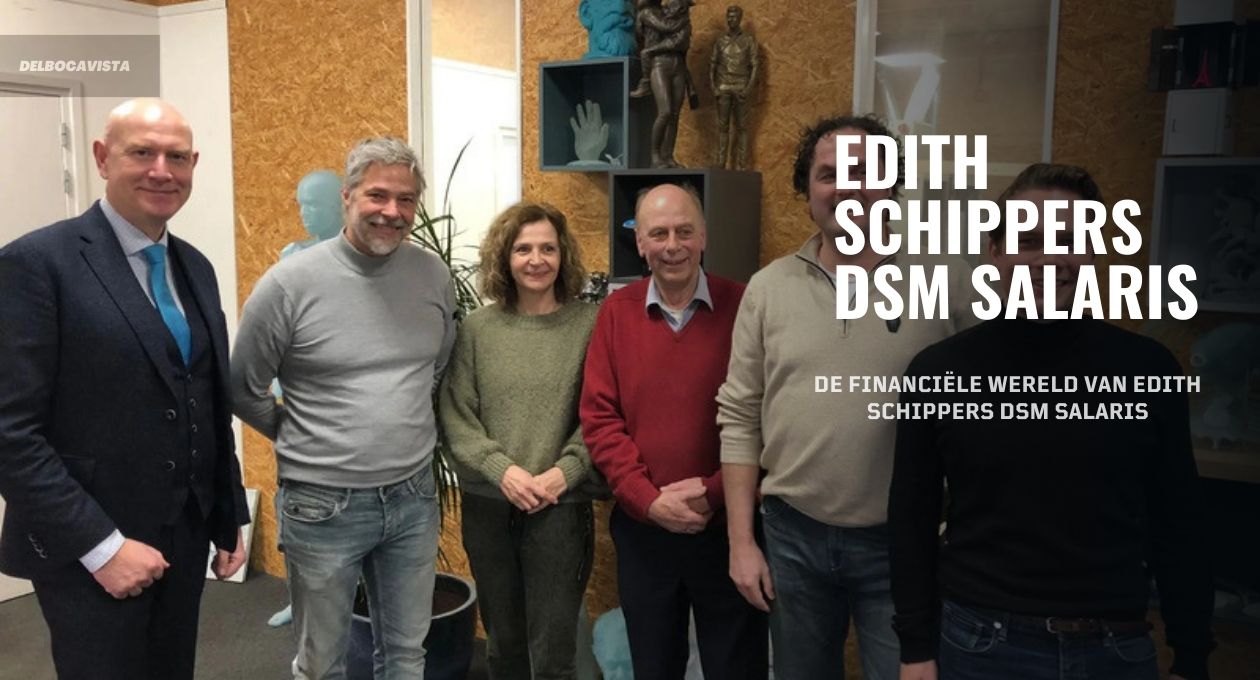 Edith Schippers DSM Salaris