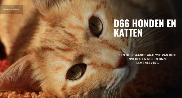 D66 Honden en Katten: Een Diepgaande Analyse Van Hun Invloed en Rol in Onze Samenleving