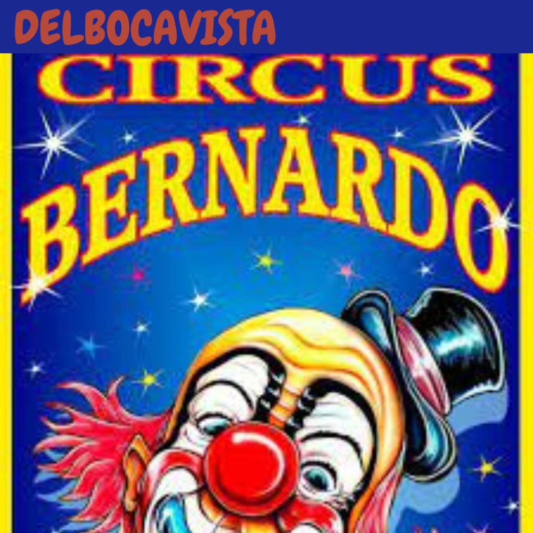 Zirkus Bernardo Een Magische Wereld van Entertainment (1)